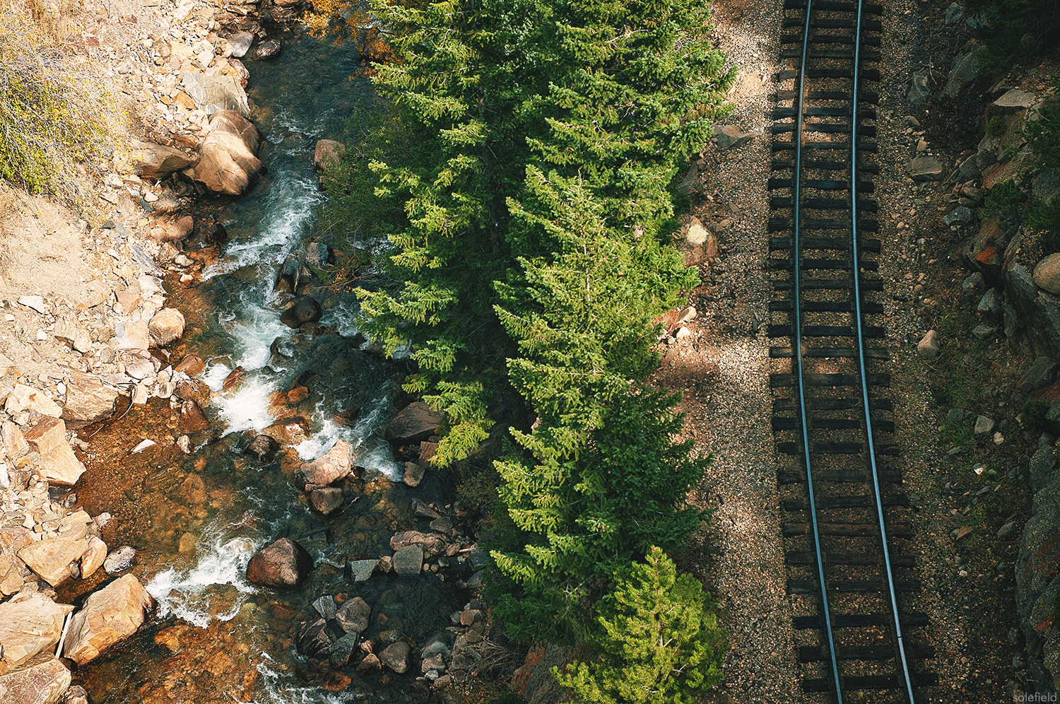 Railroad and pine trees from above