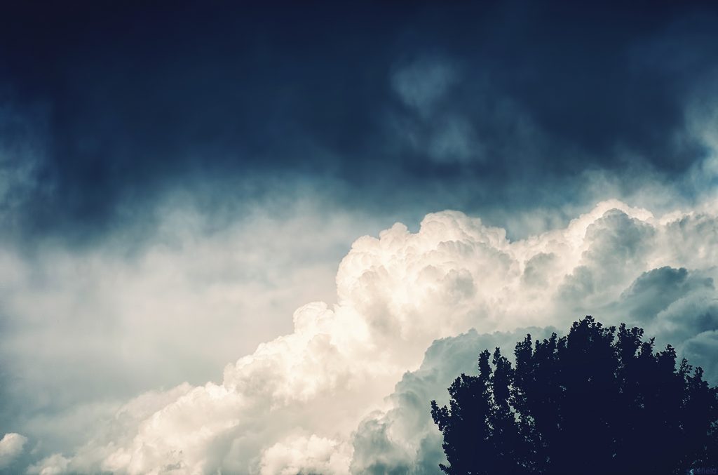 Dark Storm Clouds with Tree