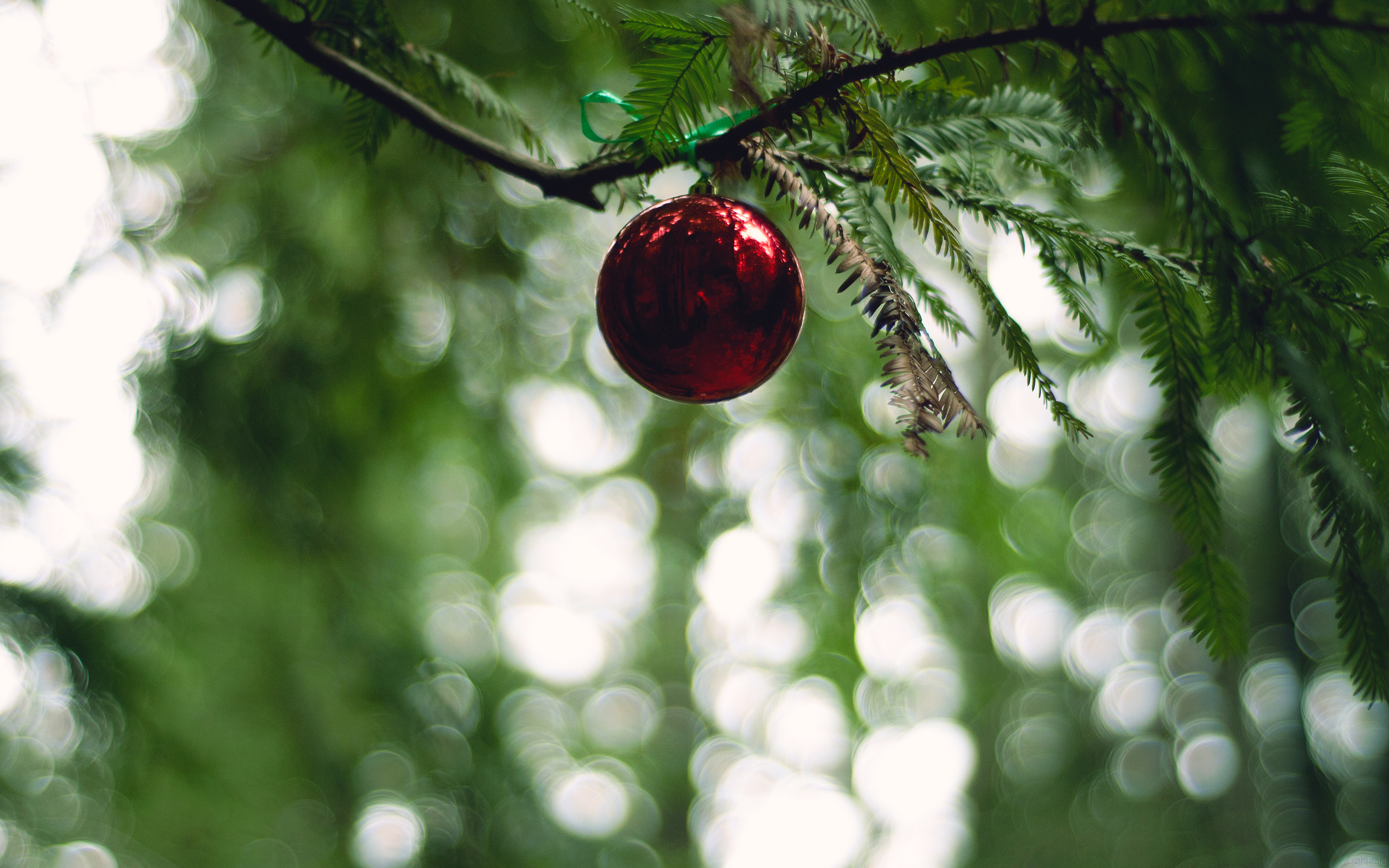 Christmas Ornament in a Forest